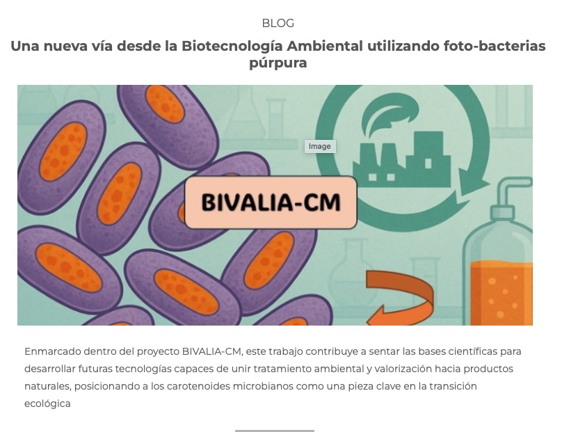 Screenshot Notiweb BIVALIA